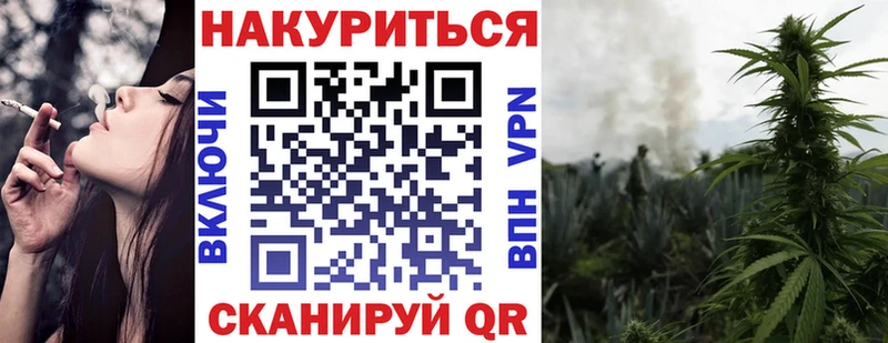 Каннабис OG Kush  Кондрово 